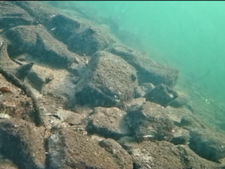 Alcune immagini dei fondali del lago di Varese tratte dai video girati dal drone subacqueo di Marco Gaspari