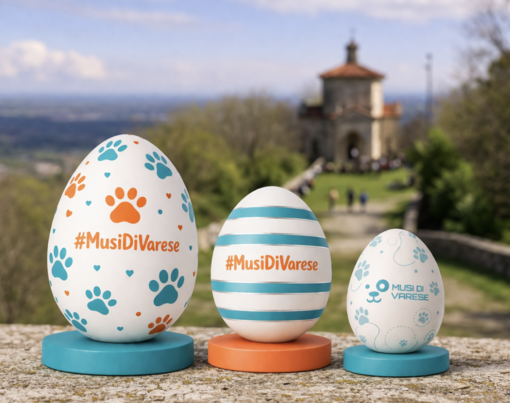 Il Canile di Varese lancia l’Uovo dei Musi: la sorpresa diventa digitale e sostiene gli animali