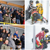 Una serata da brividi all'Acinque Ice Arena: le foto del popolo giallonero qui a sinistra e in gallery targate Alessandro Umberto Galbiati e quelle della scazzottata Perino-Geronazzo, a destra, di Alberto Bernasconi Una serata da brividi all'Acinque Ice Arena: le foto del popolo giallonero qui a sinistra e in gallery targate Alessandro Umberto Galbiati e quelle della scazzottata Perino-Geronazzo, a destra, di Alberto Bernasconi