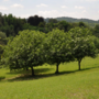 Da Bizzozero a Capolago, ma non solo. Al via le gite nel Plis Cintura Verde Sud tra storia, cultura e natura Da Bizzozero a Capolago, ma non solo. Al via le gite nel Plis Cintura Verde Sud tra storia, cultura e natura