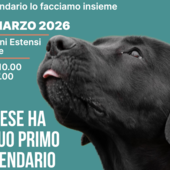 Tessa Gelisio madrina di “Musi di Varese” Tessa Gelisio madrina di “Musi di Varese”