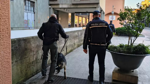 L'unità cinofila in azione a Saronno (foto tratta da IlSaronno.it)