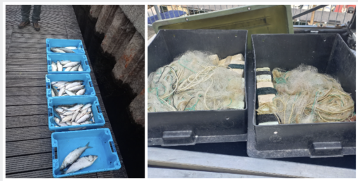 Il materiale sequestrato dalla polizia Provinciale Il materiale sequestrato dalla polizia Provinciale