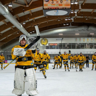 Mastini, a Milano vi vogliamo così