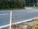 Un tratto della superstrada Besozzo-Vergiate