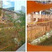 PRIMA E DOPO - A sinistra l'ex Ufficio d'Igiene di via Staurenghi a inizio agosto e, a destra, oggi: le erbacce incolte e alte mezzo metro sono state tagliate e i rifiuti rimossi