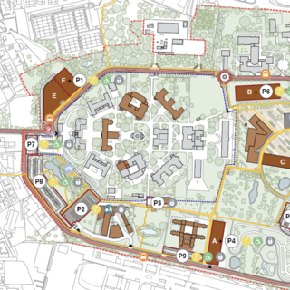 Il masterplan del "nuovo" campus di Bizzozero