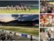 Uno scenario da cartolina per la prima serata della riapertura all'ippodromo di Varese: tra il pubblico il sindaco Galimberti e l'assessore Malerba Uno scenario da cartolina per la prima serata della riapertura all'ippodromo di Varese: tra il pubblico il sindaco Galimberti e l'assessore Malerba