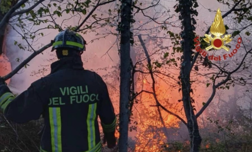 Incendi boschivi, allerta arancione nell’Alto Varesotto: rischio elevato e propagazione veloce