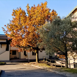 Al Villaggio del Fanciullo continua il progetto "Casa Aliante"