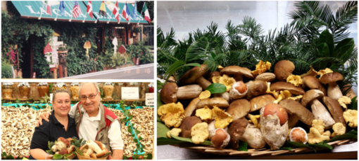 L'inconfondibile sagoma de &quot;La Casa del Fungo&quot; di Gemonio con Barbara e papà Antonio