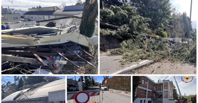 In alto da sinistra: lamiere sulle auto in via Astico. L'albero crollato in via Caracciolo. In basso da sinistra: capannone scoperchiato in via Astico. La polizia locale in via Astico e i vigili del fuoco al lavoro.