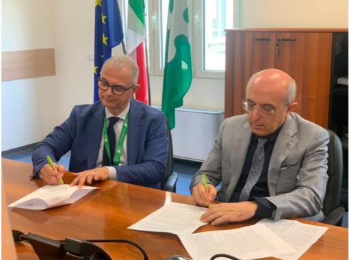 Pascolo vagante, definite le nuove linee di indirizzo territoriali di Prefettura e ATS Insubria: più sicurezza, controlli coordinati e strumenti per i Comuni