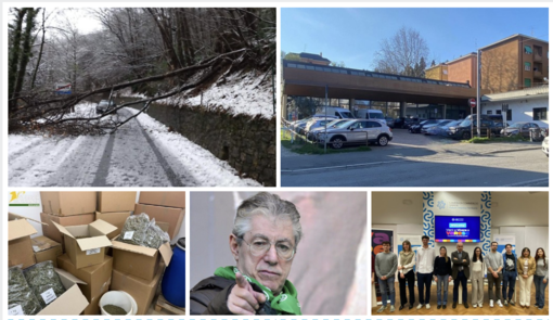 La bufera di neve, i negozi e la cronaca: ecco gli articoli più letti della settimana