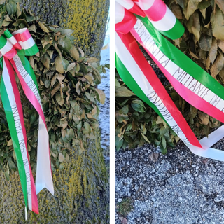 (foto tratta da Luinonotizie.it)