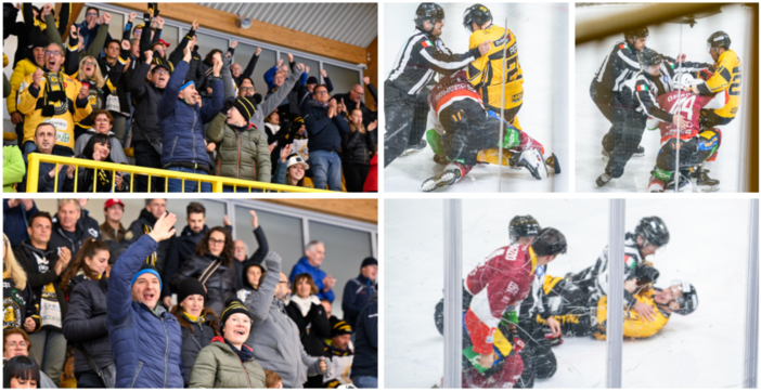 Una serata da brividi all'Acinque Ice Arena: le foto del popolo giallonero qui a sinistra e in gallery targate Alessandro Umberto Galbiati e quelle della scazzottata Perino-Geronazzo, a destra, di Alberto Bernasconi