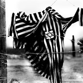 Gallarate interroga la Memoria: tra storia e presente, due appuntamenti occasione di coscienza civile Gallarate interroga la Memoria: tra storia e presente, due appuntamenti occasione di coscienza civile