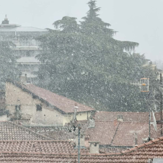 Il nevischio a Varese in una foto pubblicata da Bertoni