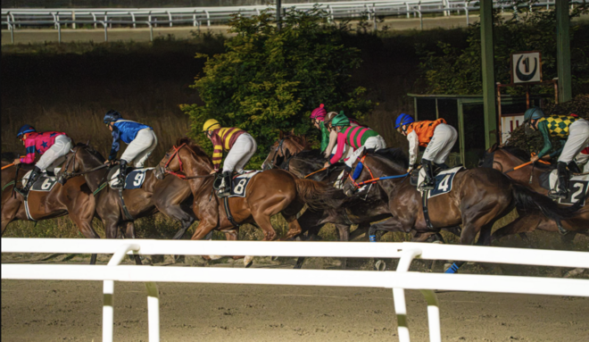 Successo e spettacolo alla Settima Giornata di corse al Varese Park Racecourse Successo e spettacolo alla Settima Giornata di corse al Varese Park Racecourse