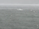 VIDEO - Paura davanti a Groppello per il maltempo: le barche dei giovani canottieri si ribaltano sul lago