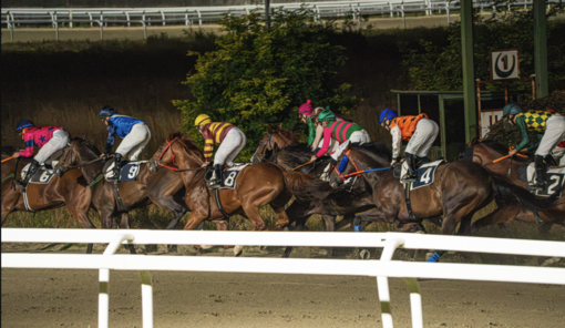Successo e spettacolo alla Settima Giornata di corse al Varese Park Racecourse