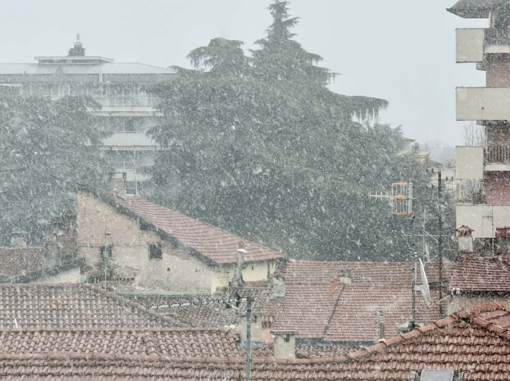 Il nevischio a Varese in una foto pubblicata da Bertoni