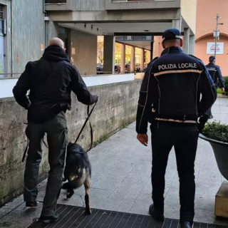 L'unità cinofila in azione a Saronno (foto tratta da IlSaronno.it)