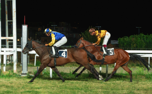 Pubblico numeroso all'ippodromo per la sesta giornata di corse al Varese Park Racecourse Pubblico numeroso all'ippodromo per la sesta giornata di corse al Varese Park Racecourse
