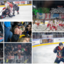 In alto a sinistra il gol di Schneider al 62’11” che ha deciso Milano-Bolzano, la curva rossoblù e quella bolzanina in uno spicchio della Fiera Ice Arena ma anche il coach dei Mastini Dave Rich (Foto Alessandro Umberto Galbiati) In alto a sinistra il gol di Schneider al 62’11” che ha deciso Milano-Bolzano, la curva rossoblù e quella bolzanina in uno spicchio della Fiera Ice Arena ma anche il coach dei Mastini Dave Rich (Foto Alessandro Umberto Galbiati)