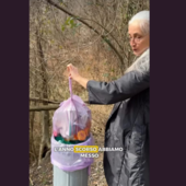 Un frame del video pubblicato dal sindaco di Cuasso al Monte Loredana Bonora Un frame del video pubblicato dal sindaco di Cuasso al Monte Loredana Bonora