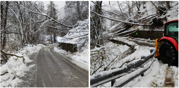 La situazione sulla Sp8