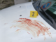 Il sangue rinvenuto sul cofano di una delle tre auto al Sacro Monte