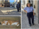 Lucia, storica custode del cimitero monumentale di Giubiano, va in pensione. Ma quello con il "vice-custode" Diesel non è un addio Lucia, storica custode del cimitero monumentale di Giubiano, va in pensione. Ma quello con il "vice-custode" Diesel non è un addio