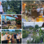 Il "papà" di Agricola accoglie i suoi collaboratori con le loro famiglie e gli amici in mezzo al verde (in alto a sinistra) della nuovissima e bellissima "Casa Agricola"