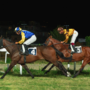 Pubblico numeroso all'ippodromo per la sesta giornata di corse al Varese Park Racecourse Pubblico numeroso all'ippodromo per la sesta giornata di corse al Varese Park Racecourse
