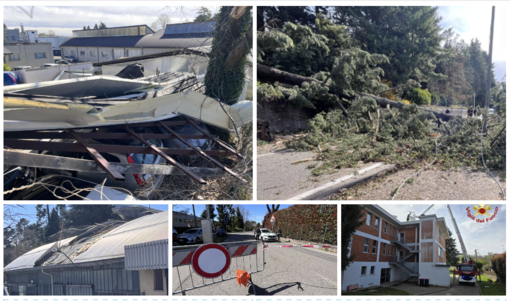 In alto da sinistra: lamiere sulle auto in via Astico. L'albero crollato in via Caracciolo. In basso da sinistra: capannone scoperchiato in via Astico. La polizia locale in via Astico e i vigili del fuoco al lavoro.