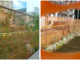 PRIMA E DOPO - A sinistra l'ex Ufficio d'Igiene di via Staurenghi a inizio agosto e, a destra, oggi: le erbacce incolte e alte mezzo metro sono state tagliate e i rifiuti rimossi