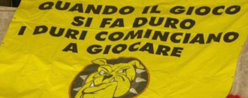 I nostri Mastini sono questi