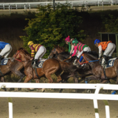 Successo e spettacolo alla Settima Giornata di corse al Varese Park Racecourse