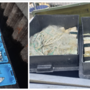 Il materiale sequestrato dalla polizia Provinciale Il materiale sequestrato dalla polizia Provinciale