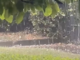 La grandinata su Cuasso al Monte (foto tratta da un video sulla pagina Facebook di Natural Meteo)