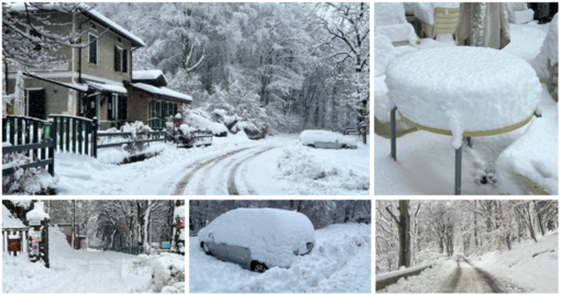 Una magica cartolina di un Campo dei Fiori avvolto dalla neve Una magica cartolina di un Campo dei Fiori avvolto dalla neve