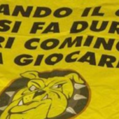 I nostri Mastini sono questi