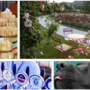 Fine settimana al sapore d'estate con eventi per tutti: dall'asparago di Cantello alle rose di Induno, dalla birra della schiranna ai più bei musi di Varese ai Giardini Estensi Fine settimana al sapore d'estate con eventi per tutti: dall'asparago di Cantello alle rose di Induno, dalla birra della schiranna ai più bei musi di Varese ai Giardini Estensi