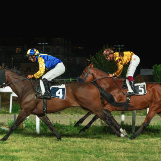 Pubblico numeroso all'ippodromo per la sesta giornata di corse al Varese Park Racecourse