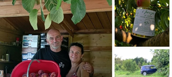 Marco Bina e la moglie Monica nel loro "regno" dei perzic de Munà Marco Bina e la moglie Monica nel loro "regno" dei perzic de Munà