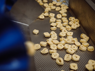 Tortelloni verso la pastorizzazione
