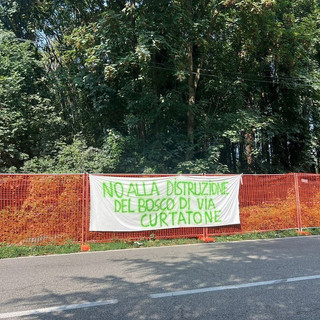 «Via Curtatone, difendere il bosco costa un processo»