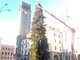 VIDEO E FOTO. Luci sull'albero di piazza Monte Grappa: a Varese il Natale sta arrivando