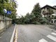 L'albero caduto in viale Sant'Antonio a Varese